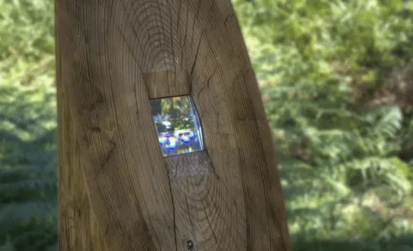 Forêt d’Art Contemporain