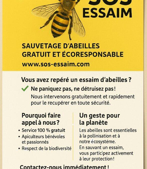 Sauver et récupérer un essaim d’abeilles