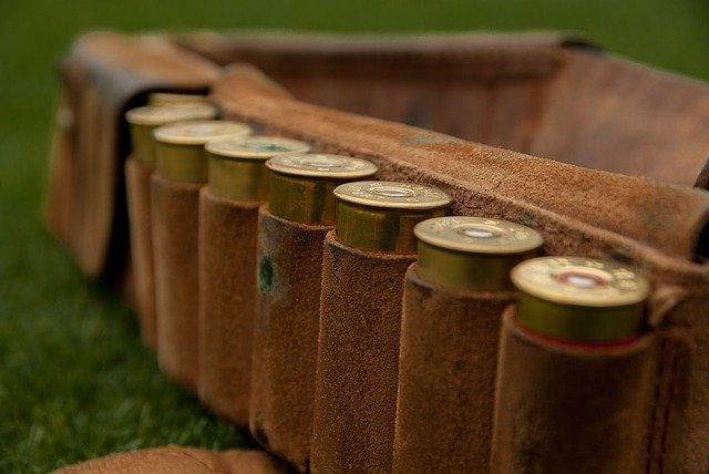 Image de cartouches pour chasse