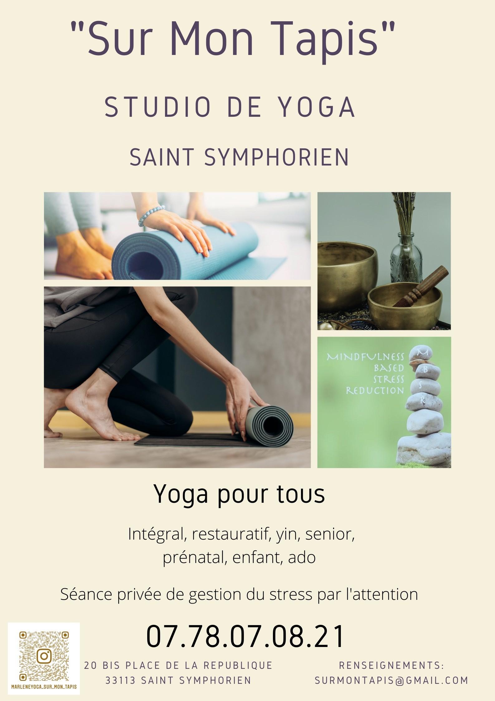 Studio sur mon tapis déménage